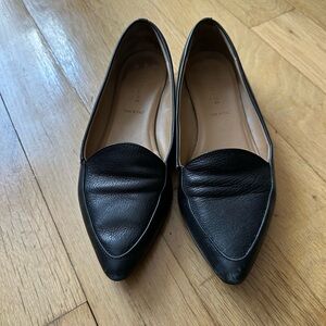Everlane Italian Leather Pointed Toe Flats